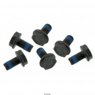 Vauhtipyörän kiinnityspultit, 6kpl, Diesel